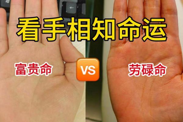 手掌富贵命揭秘:掌纹背后的命运与人生巧合 手掌富贵命揭秘:掌纹背后的命运与人生巧合