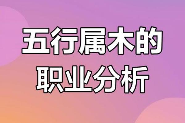 木命人士与职业生涯：适合从事的行业与发展方向