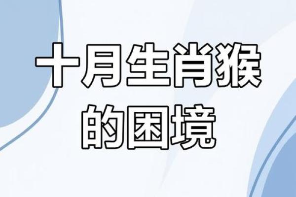 属猴10月出生：探寻机智灵动与命运的奇妙结合