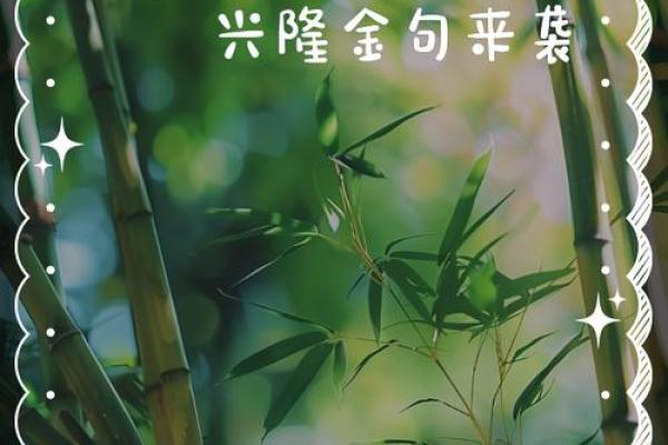 木火相生，开店生意兴隆的秘密揭示！