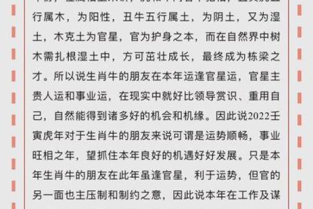 属牛的零零后：探索他们的命运与未来