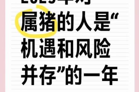属猪大海水命，合适命格配置与生活运势探究