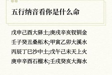 壬子命：水木交融，人生海洋的智慧与力量