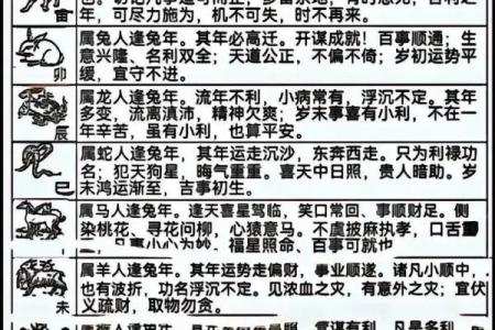 农历十月十八出生男孩的命理解析与运势展望