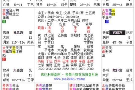 深入探讨：什么样的八字代表母亲命格