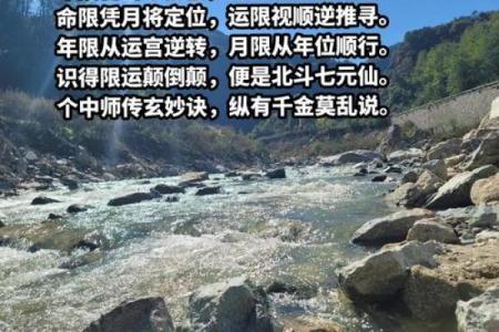 揭示命运的智慧：适合学习周易的命格分析与启示