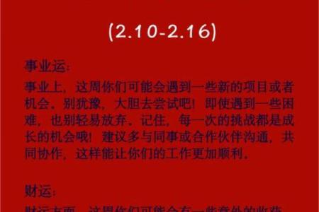 属马人在12月的运势与命理分析，解读生辰奥秘！