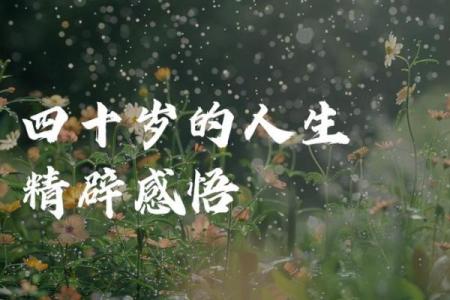 身宫杨柳木命的深意与人生之道