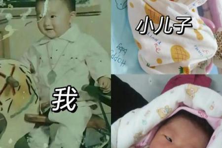 什么是“一个半儿子的命”？探寻现代家庭中的亲子关系与责任感