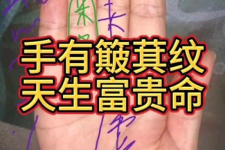手上十个簸箕象征的命理与人生智慧探讨