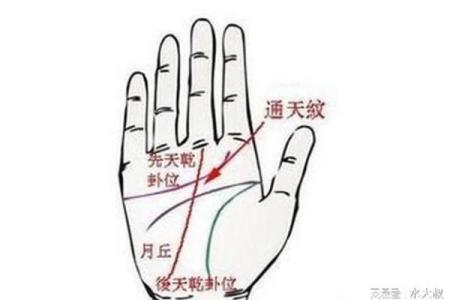 揭秘手相：什么样的手型预示着富贵命运？