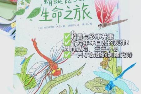 生命的意义与命运的交织：探寻自我的旅程