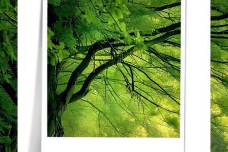 木火相生，开店生意兴隆的秘密揭示！