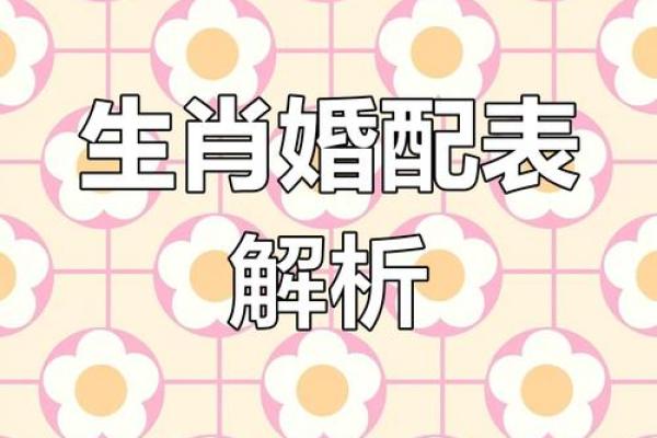 属鸡与属马的五行命理探秘：如何寻求人生的平衡与幸福