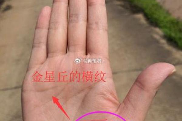 手心有痣的女人:命格解读与人生智慧 手心有痣的女人:命格解读与人生智慧