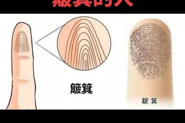 从手指看命运：揭示命运奥秘的算命艺术