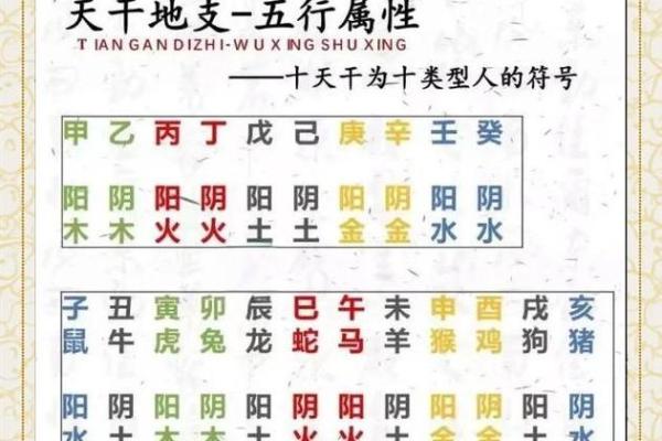 揭秘屋中土命与城中土命的玄机与生活智慧