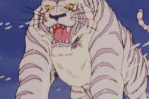 什么叫百年难遇的水虎命？探秘命理中的水虎魅力