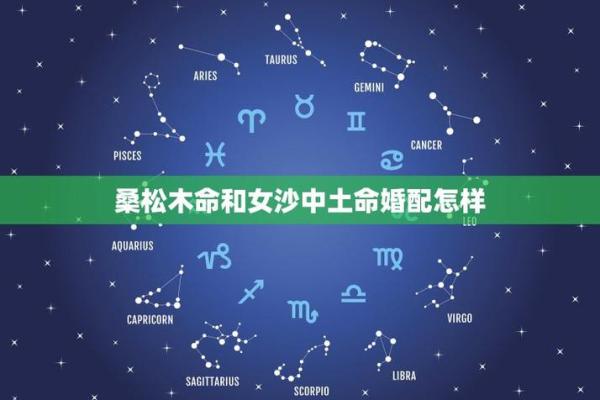 沙中土命人最适合的行业与发展方向解析