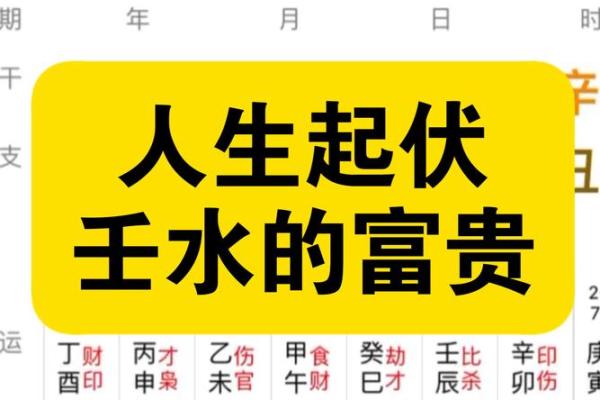壬水命人士适合的赚钱职业与发展方向探讨 壬水命人士适合的赚钱职业与发展方向探讨