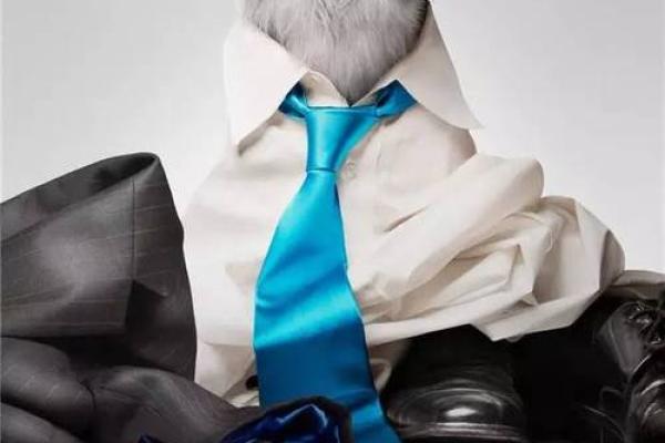 生肖之谜：谁拥有九条命的传奇风婉？