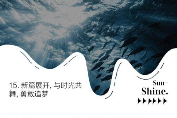 命运交织:从《命如我命》看人生的无常与命运的拼搏 命运交织:从《命如我命》看人生的无常与命运的拼搏