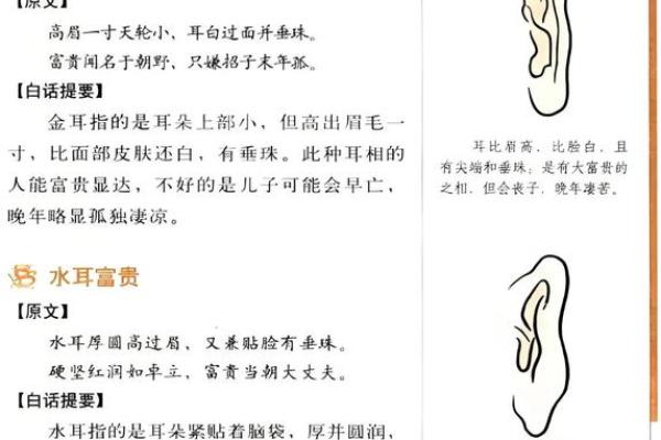 如何看孩子的命：解读命运背后的智慧与启示