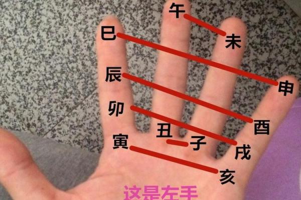 壬申金命与哪些命相合，打造美满幸福婚姻！