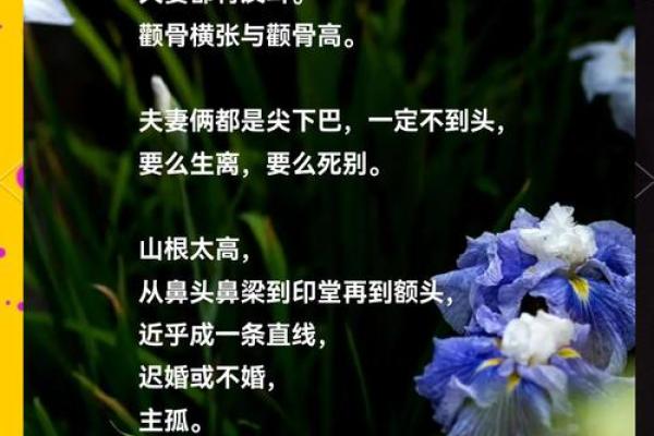 男命与女命的相生相克：命理的深度解析与指引