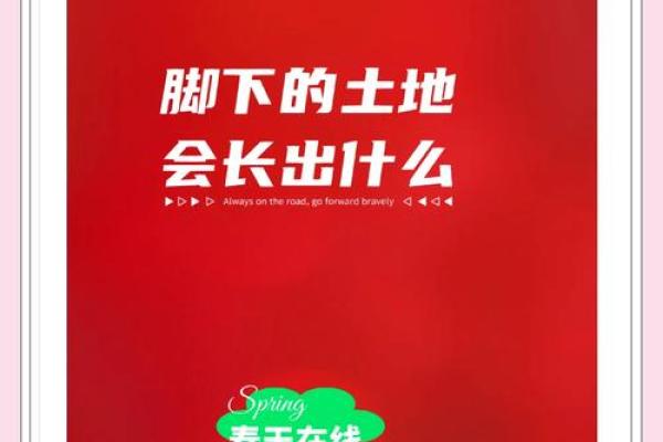 农民的命与丰收节:感受土地的温度与希望的力量 农民的命与丰收节:感受土地的温度与希望的力量