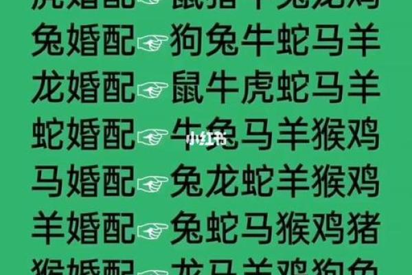 生肖鸡的命运解析：机遇与挑战并存的生活之路