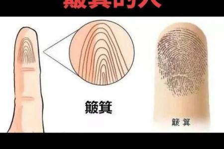 从手指看命运：揭示命运奥秘的算命艺术