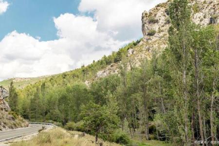 山木之虎命：探寻生命背后的深刻寓意与哲学智慧