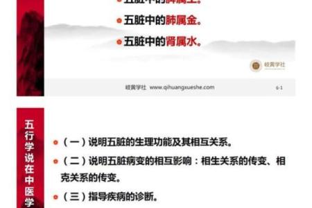 揭秘胥茹涵的五行命格：天赋与命运的交织之旅