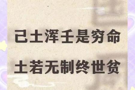 属富贵荣华之命：揭示命理背后的财富与荣耀之路