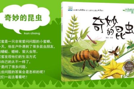 神童命的奥秘：探寻命运与智力的奇妙联系