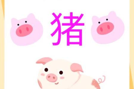 属猪人出生在二月二十一的命运解析与人生展望