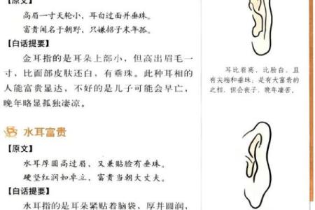 如何看孩子的命：解读命运背后的智慧与启示