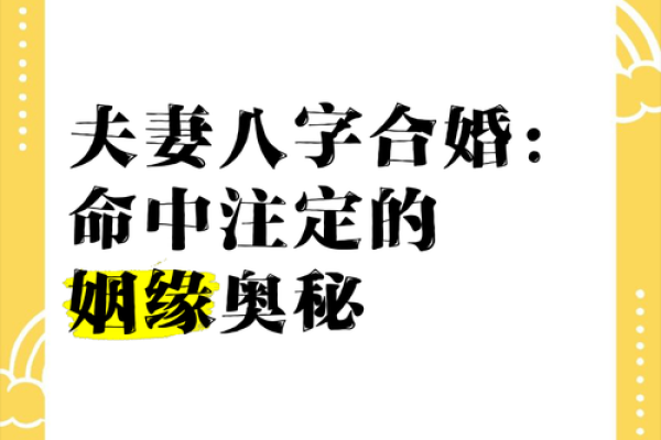 命中注定：缘何某些人的后代必是女孩？探究其中奥秘！