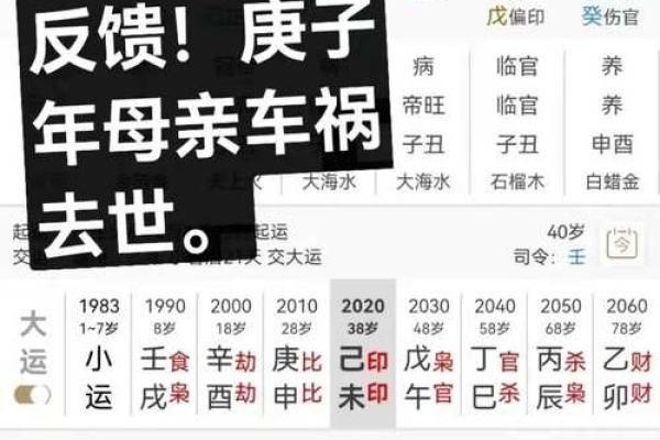 申子辰命坐山向，如何选定最佳坐标提升运势？