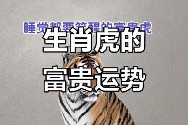 属虎的人发大财之命:财富与人生的解读 属虎的人发大财之命:财富与人生的解读