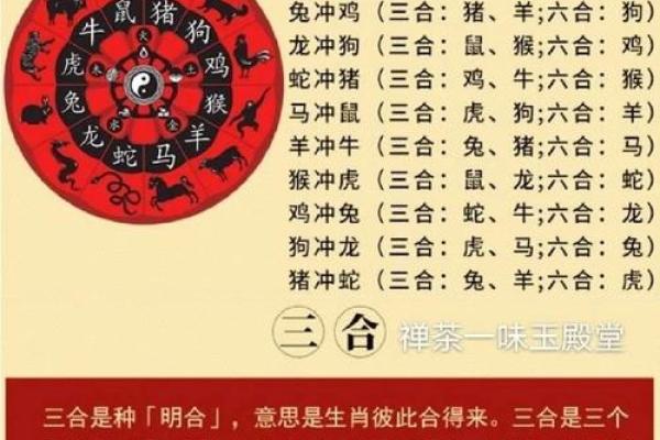生辰八字揭秘：天星命的独特魅力与生活智慧