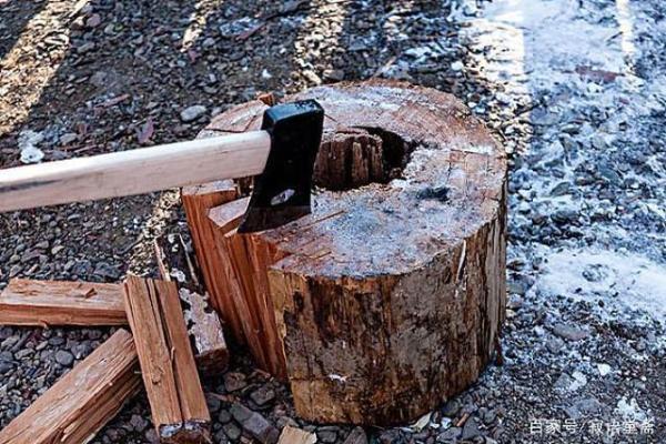 木命人士如何选择职业与发财之路 木命人士如何选择职业与发财之路