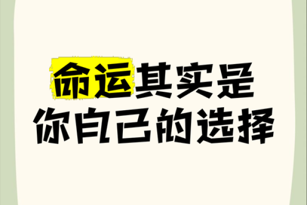 命运的选择：如何根据什么样的命投入人间命好？