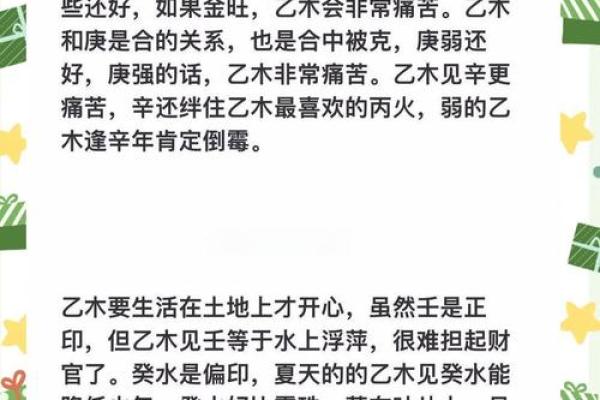 揭秘乙木女子的命理密码：与她们携手的魅力与挑战