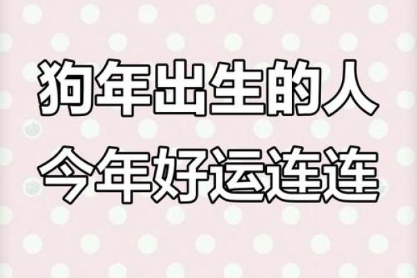 2018年属狗人的命运解析:如何把握机会与挑战 2018年属狗人的命运解析:如何把握机会与挑战