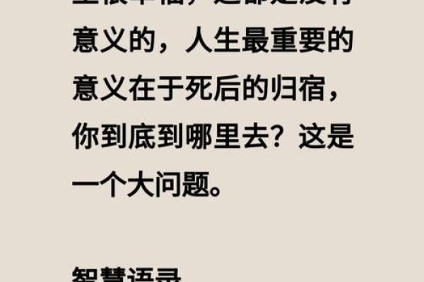 理解“匹夫拿命”背后的深意与人生态度