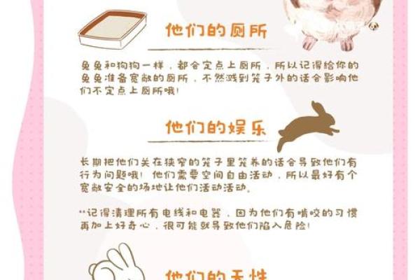 从“鼠兔”看兔子的命运与象征意义解析