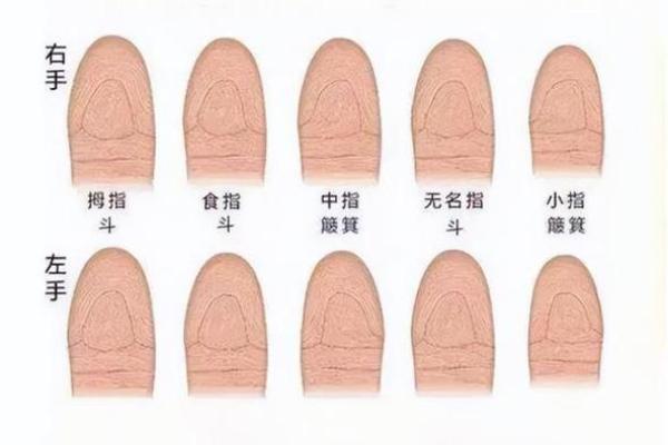 十个簸箕女的命运解析:揭示独特性格与人生轨迹 十个簸箕女的命运解析:揭示独特性格与人生轨迹