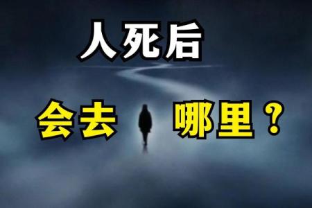 前世丫鬟命，今生何处去？命运的轮回与选择